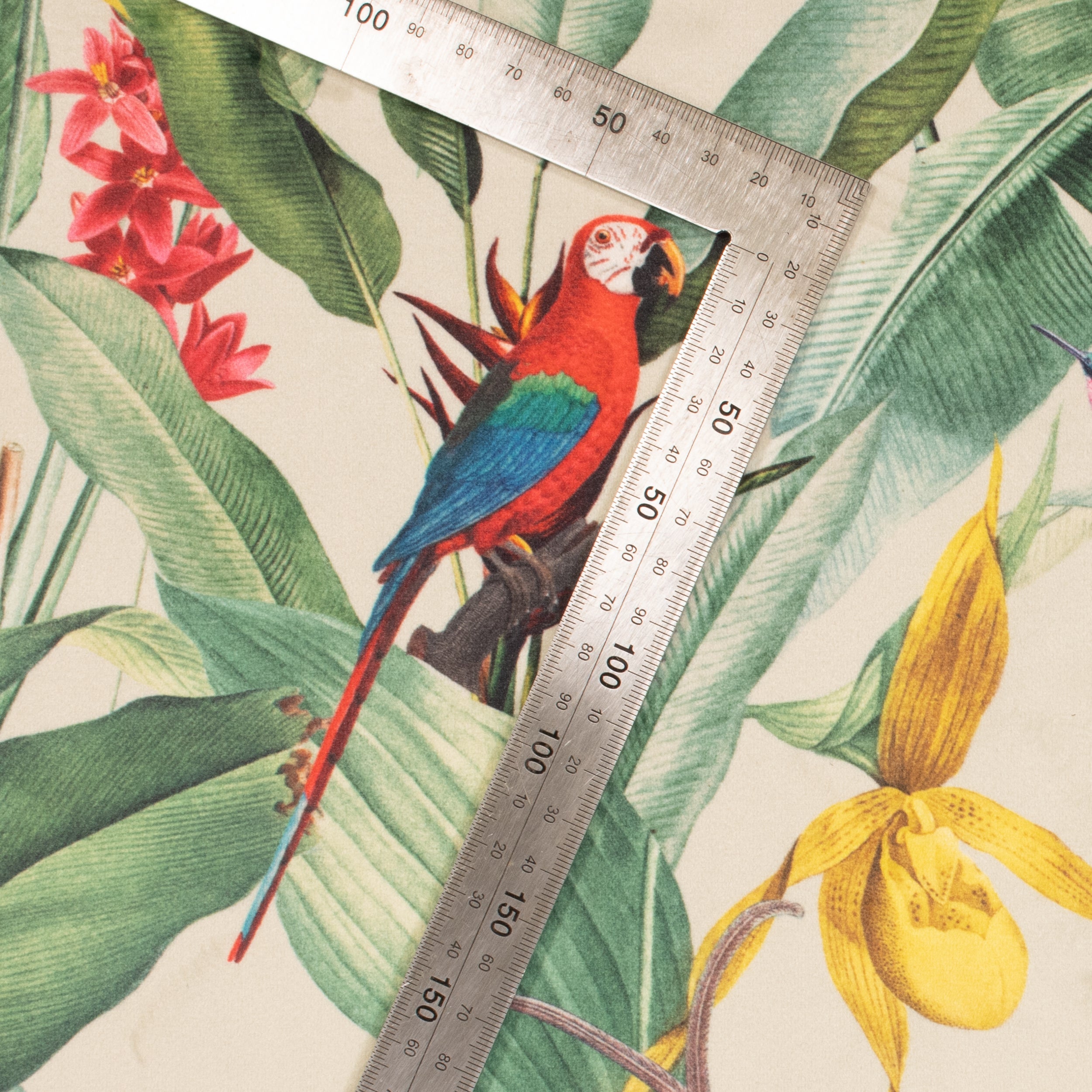 Printed Velvet Soft Upholstery Fabric - Birds of Paradise
